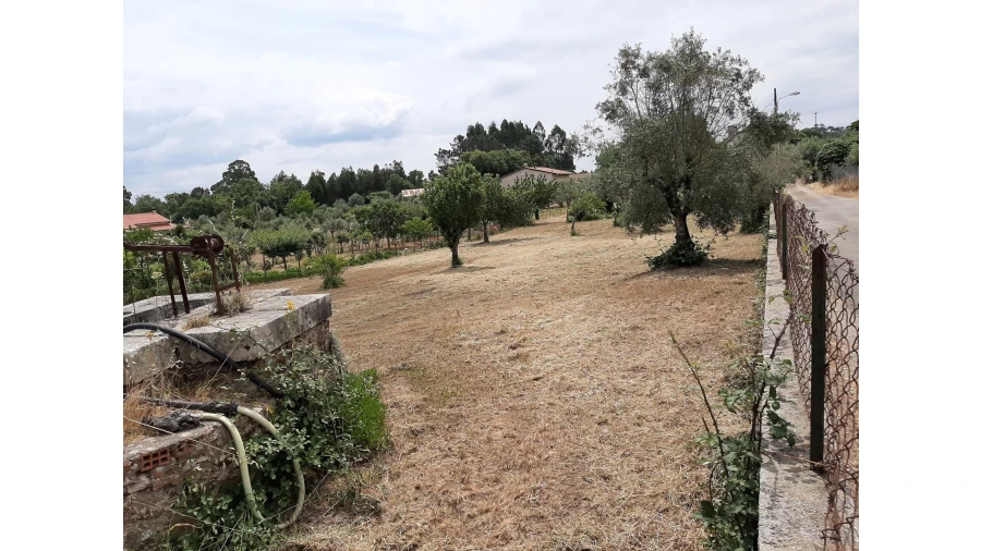 Terreno para Venda em Ferreira do Zezere Foto 2