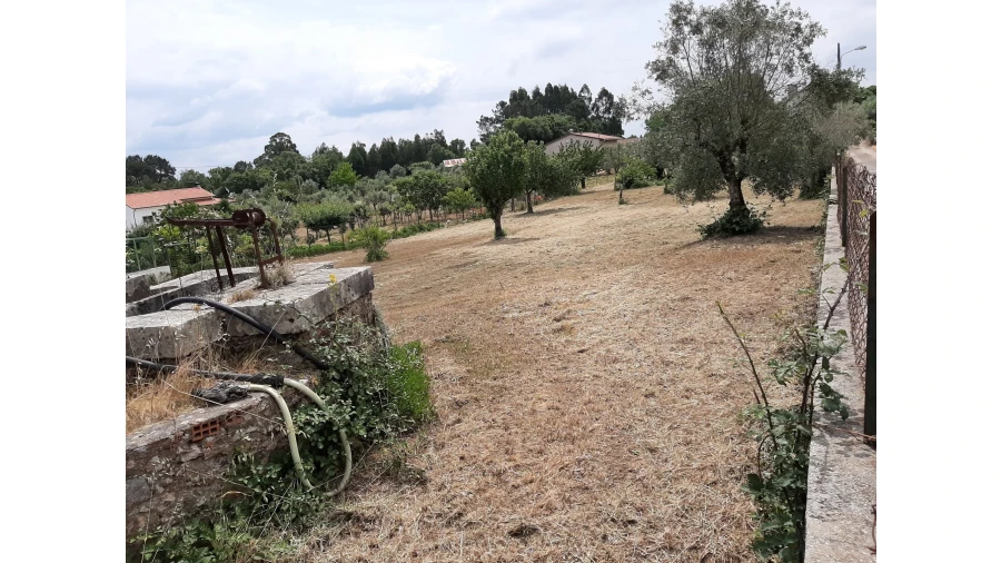 Terreno para Venda em Ferreira do Zezere Foto 5