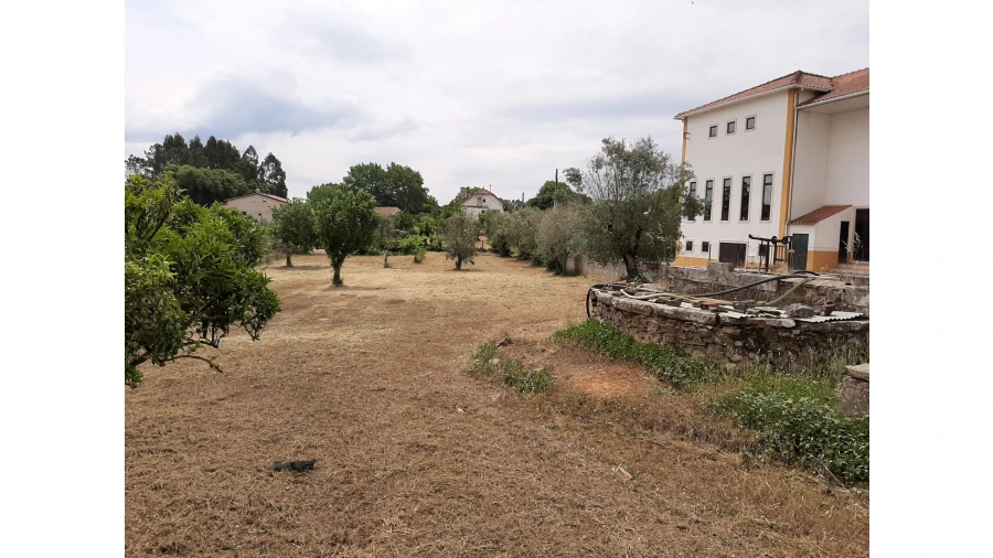 Terreno para Venda em Ferreira do Zezere Foto 24