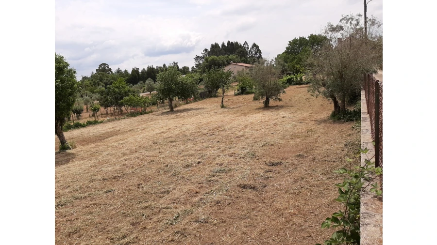 Terreno para Venda em Ferreira do Zezere Foto 8