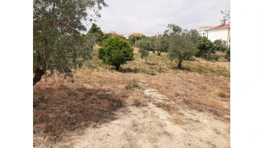Terreno para Venda em Ferreira do Zezere Foto 16