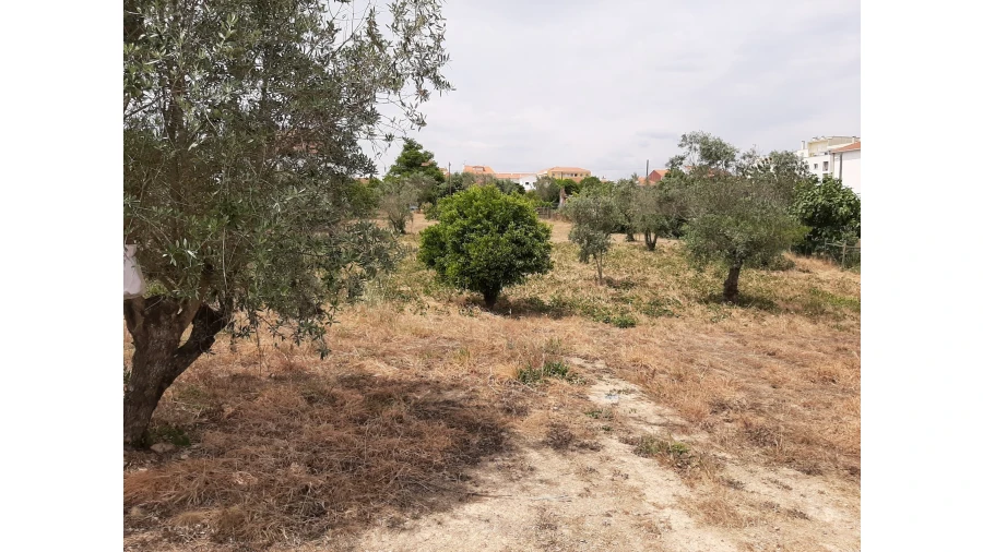 Terreno para Venda em Ferreira do Zezere Foto 19