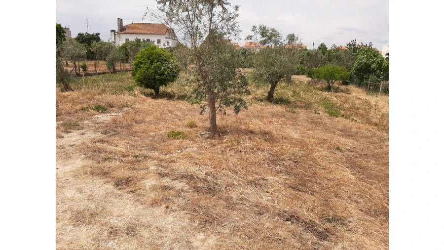 Terreno para Venda em Ferreira do Zezere Foto 21
