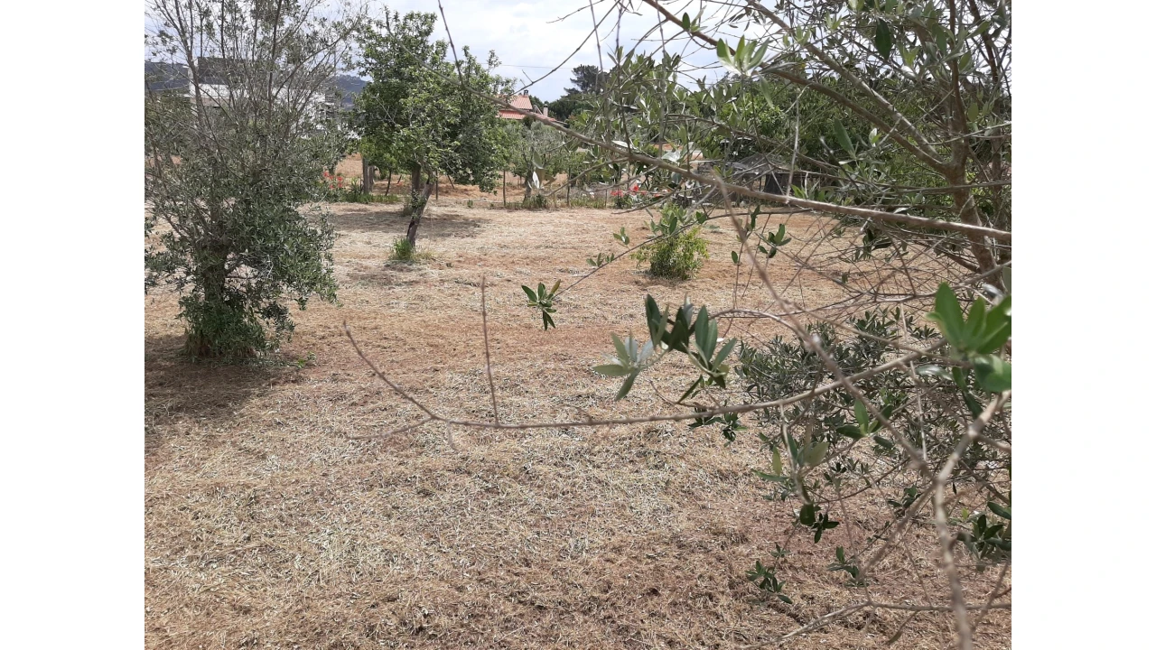 Terreno para Venda em Ferreira do Zezere Foto 15