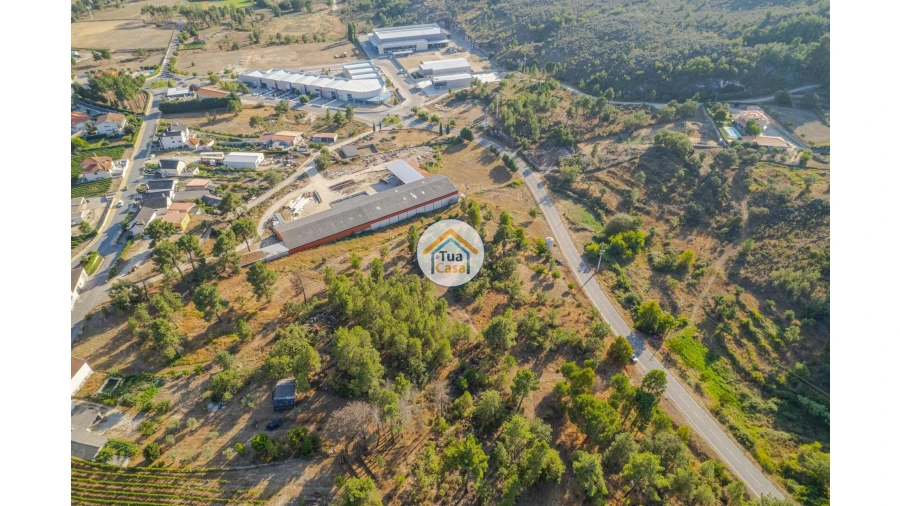 Terreno para Venda em Ferreirim e Macieira Foto 1