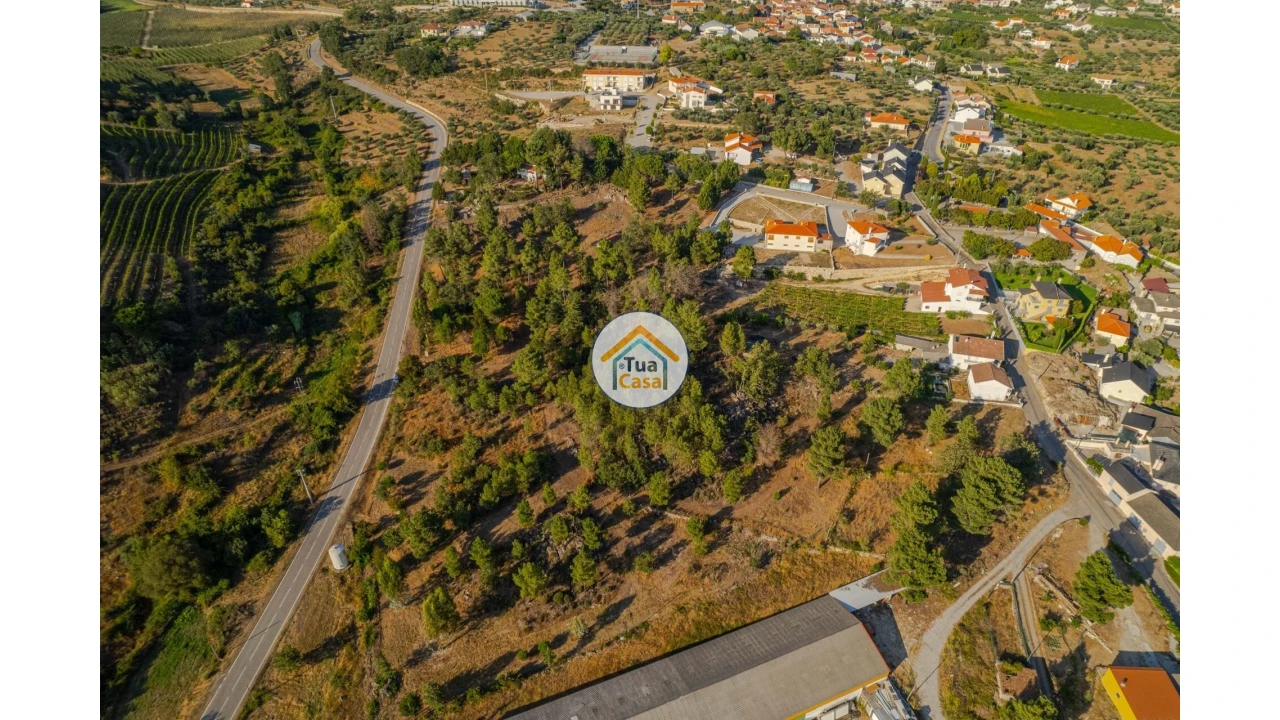 Terreno para Venda em Ferreirim e Macieira Foto 3