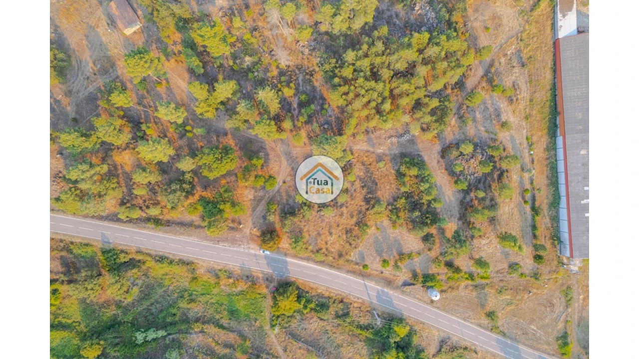 Terreno para Venda em Ferreirim e Macieira Foto 17