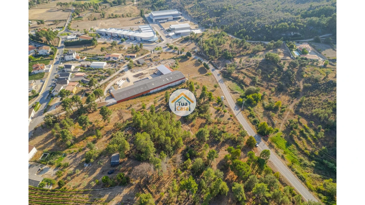 Terreno para Venda em Ferreirim e Macieira Foto 4