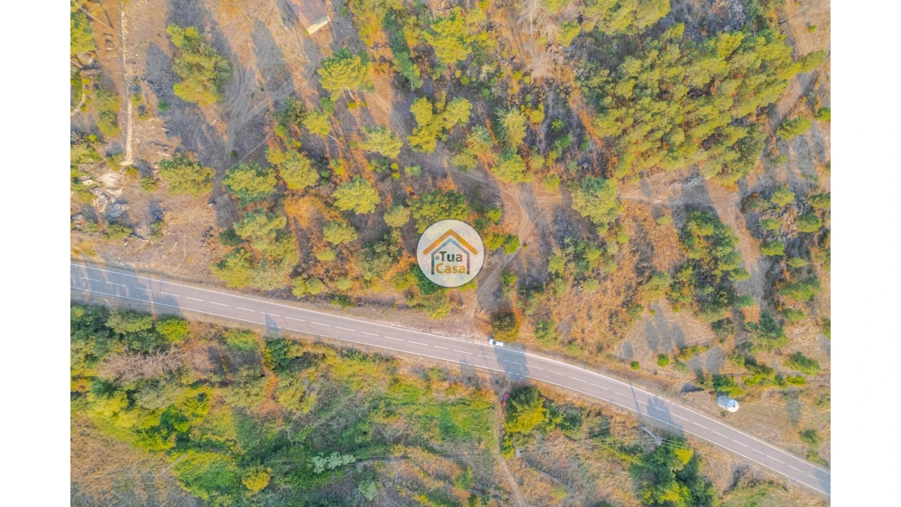 Terreno para Venda em Ferreirim e Macieira Foto 18