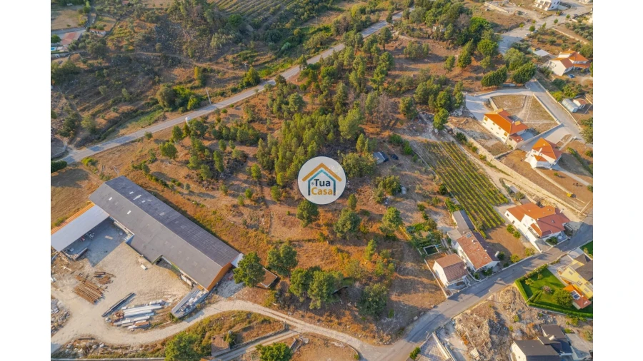 Terreno para Venda em Ferreirim e Macieira Foto 21