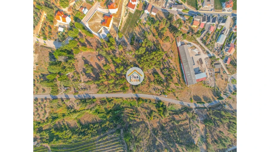 Terreno para Venda em Ferreirim e Macieira Foto 9