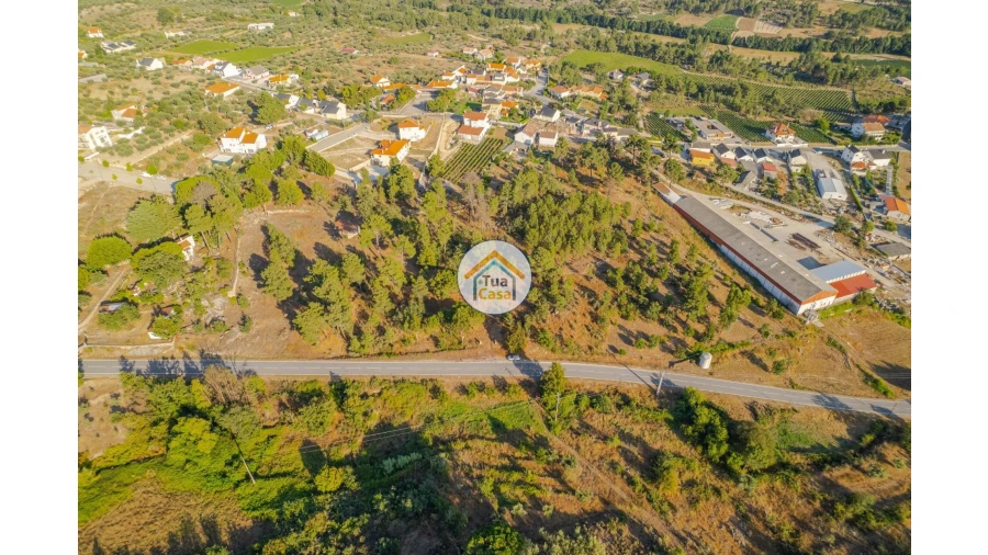 Terreno para Venda em Ferreirim e Macieira Foto 8
