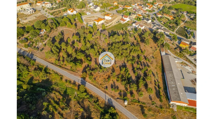Terreno para Venda em Ferreirim e Macieira Foto 10