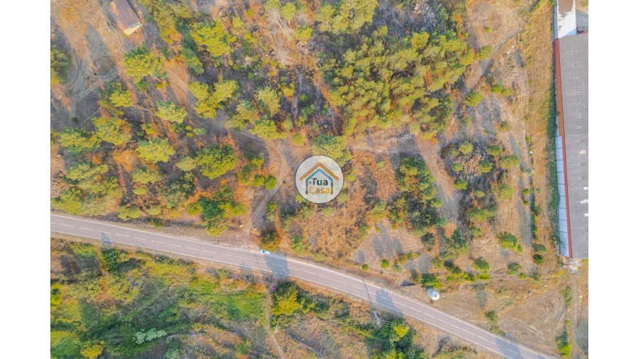 Terreno para Venda em Ferreirim e Macieira Foto 17