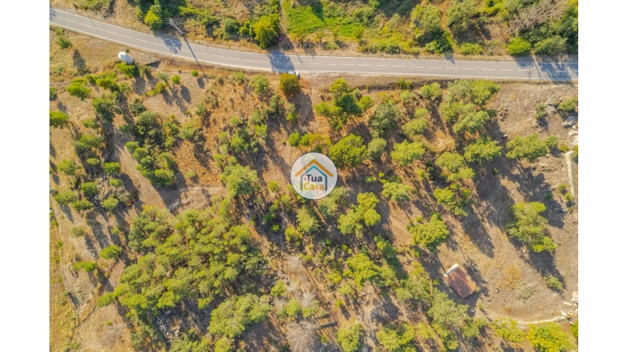 Terreno para Venda em Ferreirim e Macieira Foto 7