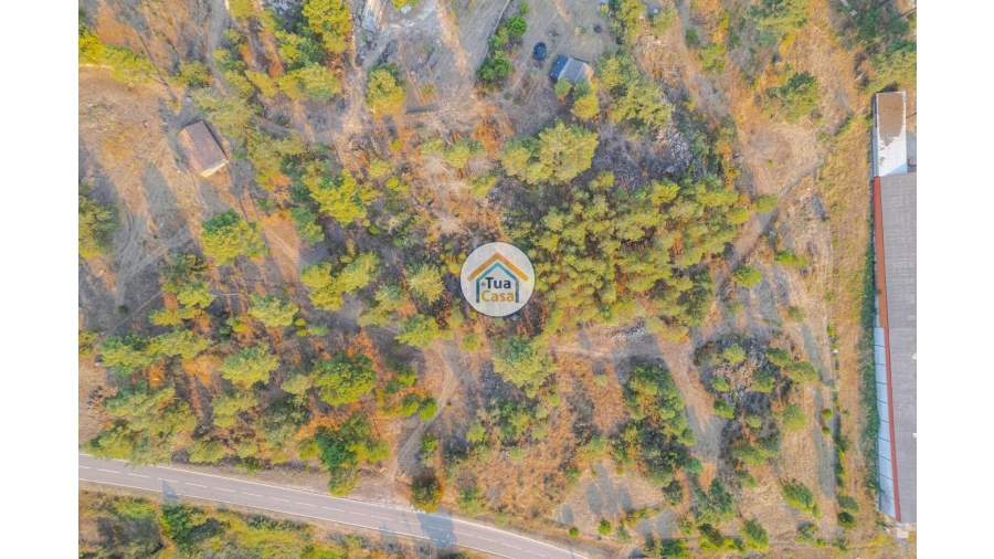 Terreno para Venda em Ferreirim e Macieira Foto 16