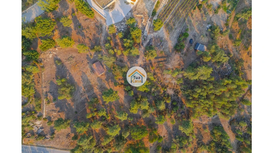 Terreno para Venda em Ferreirim e Macieira Foto 19