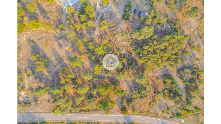 Terreno para Venda em Ferreirim e Macieira Foto 15