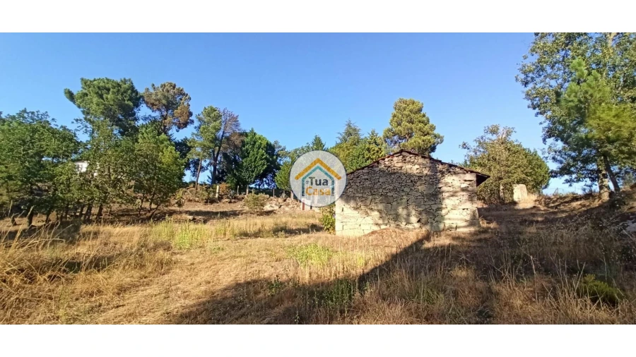 Terreno para Venda em Ferreirim e Macieira Foto 2