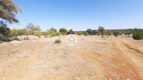 Terreno para Venda em Faro (Sé e São Pedro)