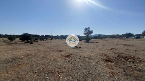 Terreno para Venda em Faro (Sé e São Pedro)