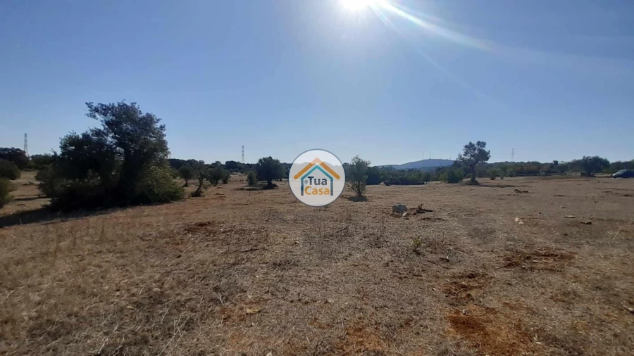Terreno para Venda em Faro (Sé e São Pedro) Foto 3