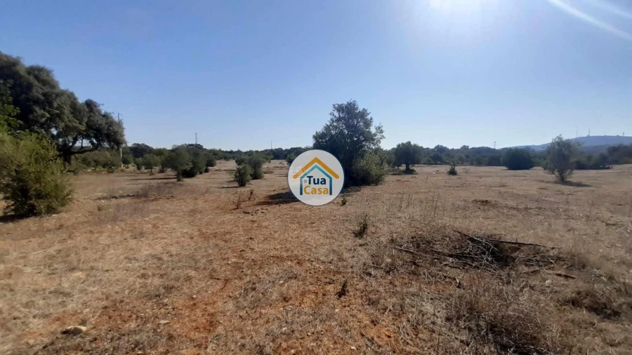 Terreno para Venda em Faro (Sé e São Pedro) Foto 11