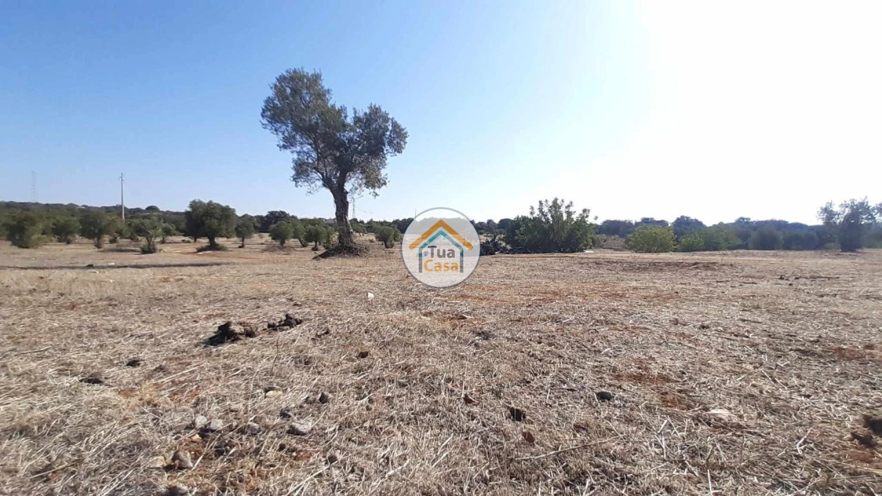 Terreno para Venda em Faro (Sé e São Pedro) Foto 12