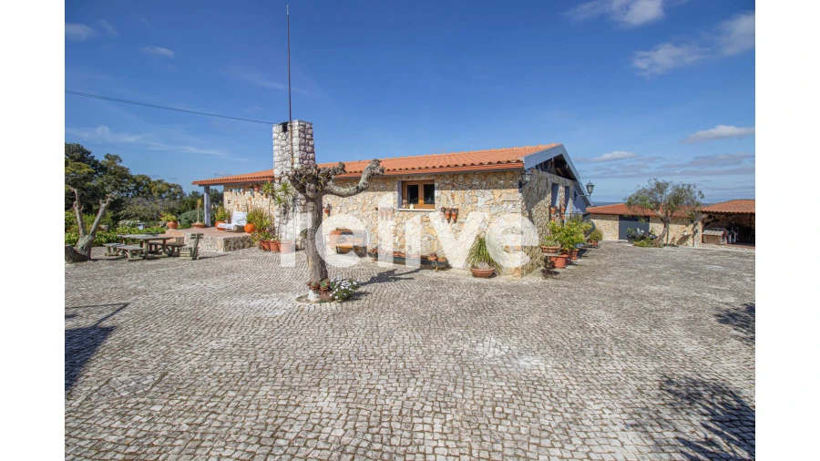 Quinta T6 para Venda em Azeitão (São Lourenço e São Simão) Foto 17