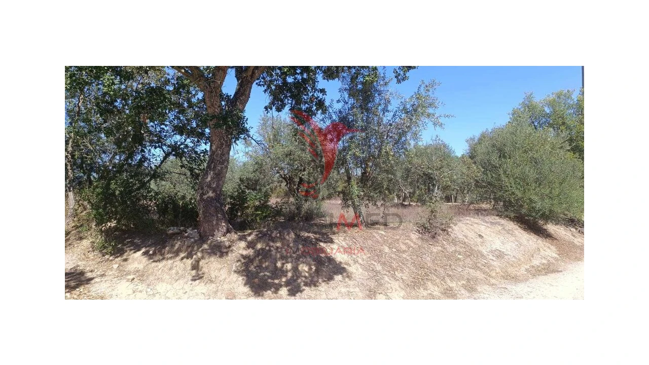 Terreno para Venda em Arez e Amieira do Tejo Foto 1