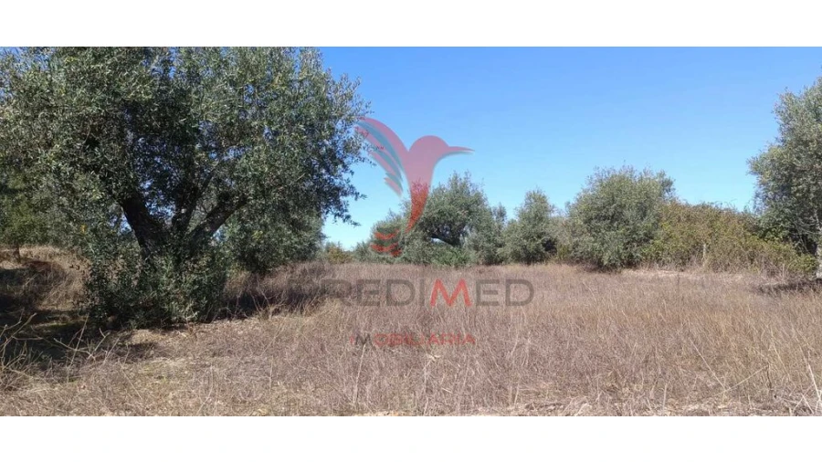 Terreno para Venda em Arez e Amieira do Tejo Foto 3