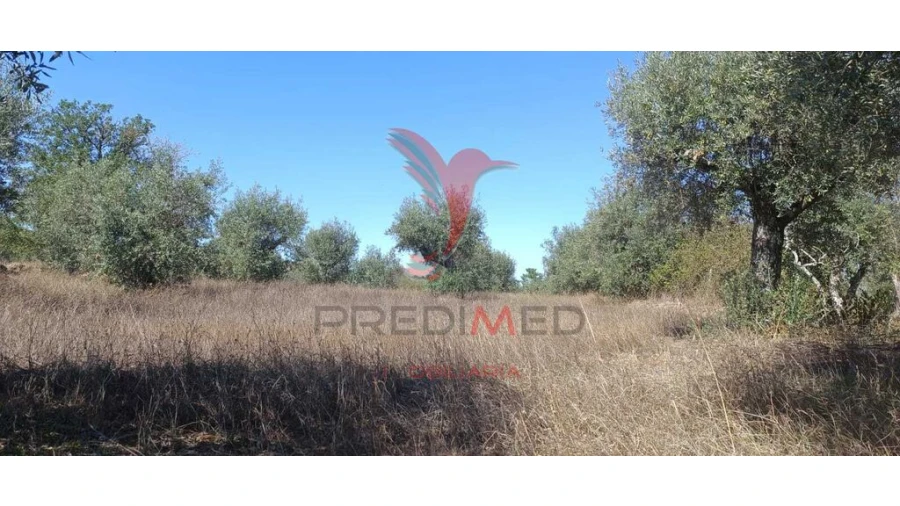 Terreno para Venda em Arez e Amieira do Tejo Foto 2