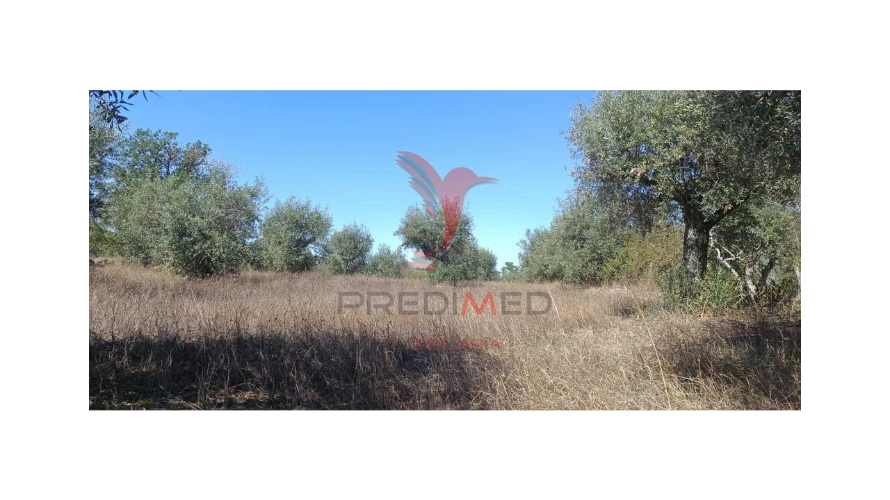 Terreno para Venda em Arez e Amieira do Tejo Foto 2