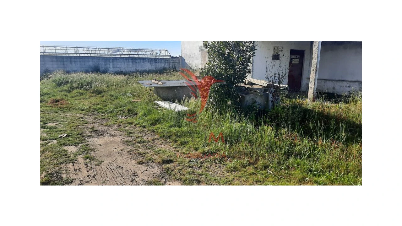 Terreno para Venda em Marinhais Foto 3