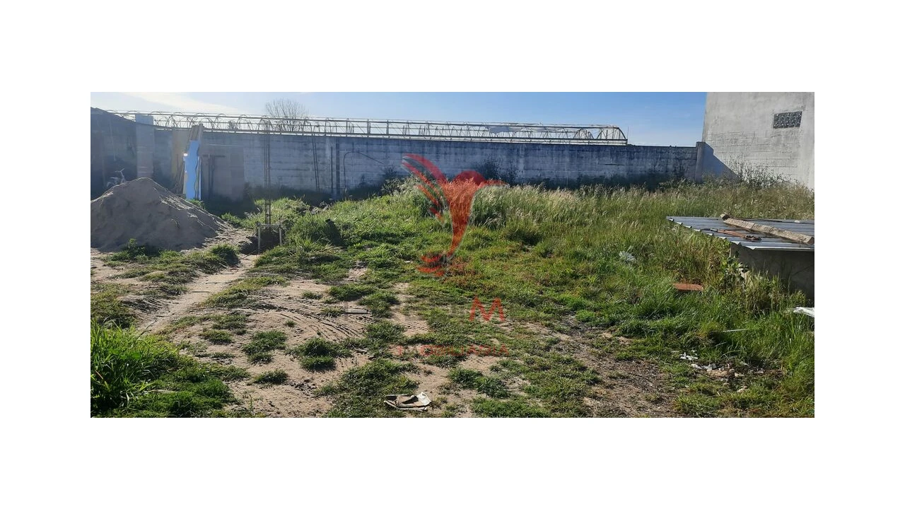 Terreno para Venda em Marinhais Foto 4