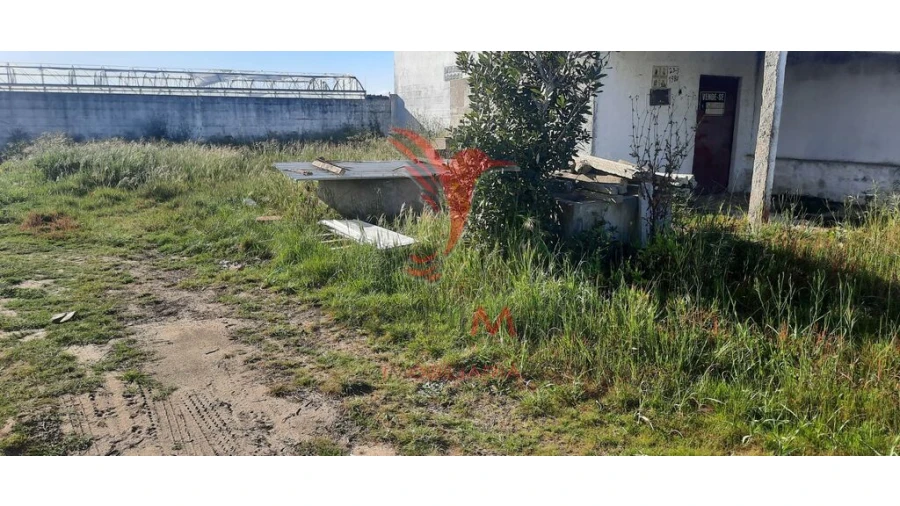 Terreno para Venda em Marinhais Foto 3