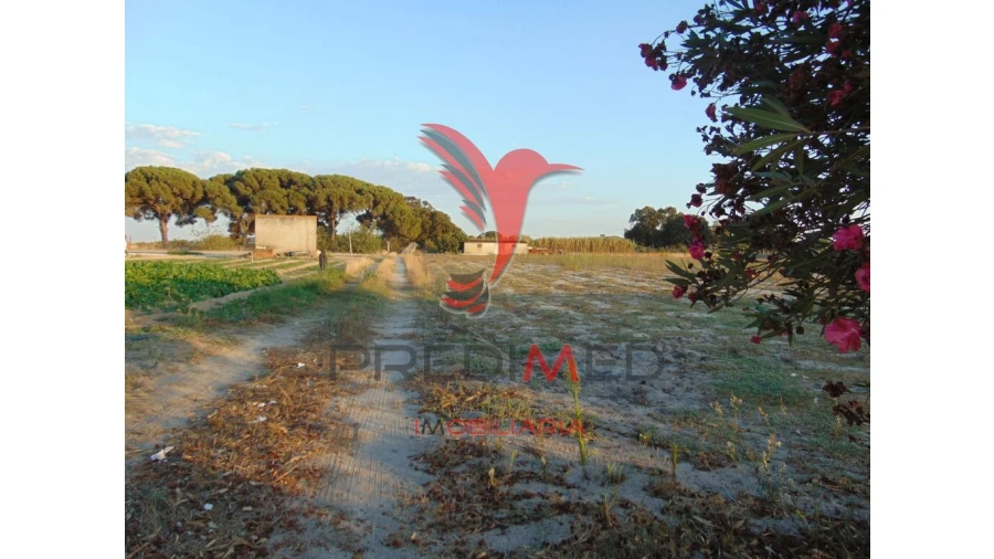 Terreno para Venda em Alcochete Foto 8