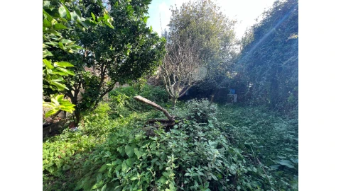 Moradia para Venda em Oliveira do Douro