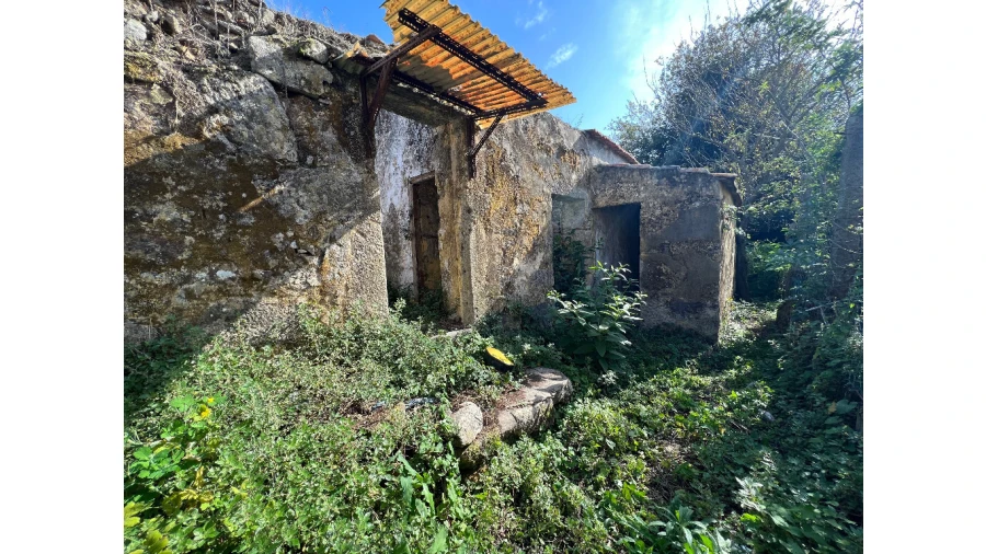 Moradia para Venda em Oliveira do Douro Foto 3