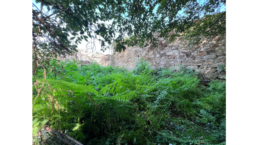 Moradia para Venda em Oliveira do Douro Foto 4