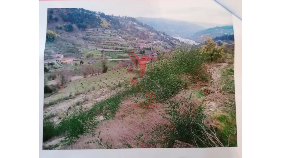 Terreno para Venda em Alpendorada, Várzea e Torrão Foto 8