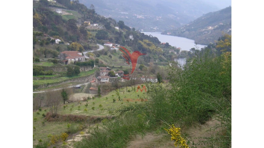 Terreno para Venda em Alpendorada, Várzea e Torrão Foto 2