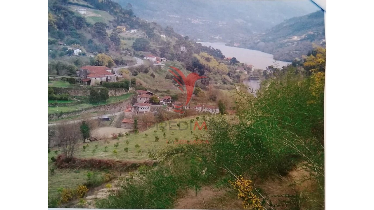 Terreno para Venda em Alpendorada, Várzea e Torrão Foto 6