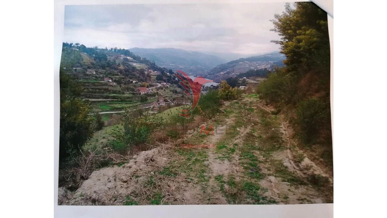 Terreno para Venda em Alpendorada, Várzea e Torrão Foto 5