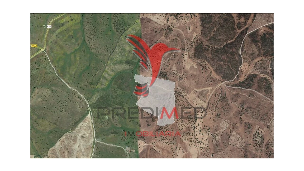 Terreno para Venda em Montalvão Foto 1