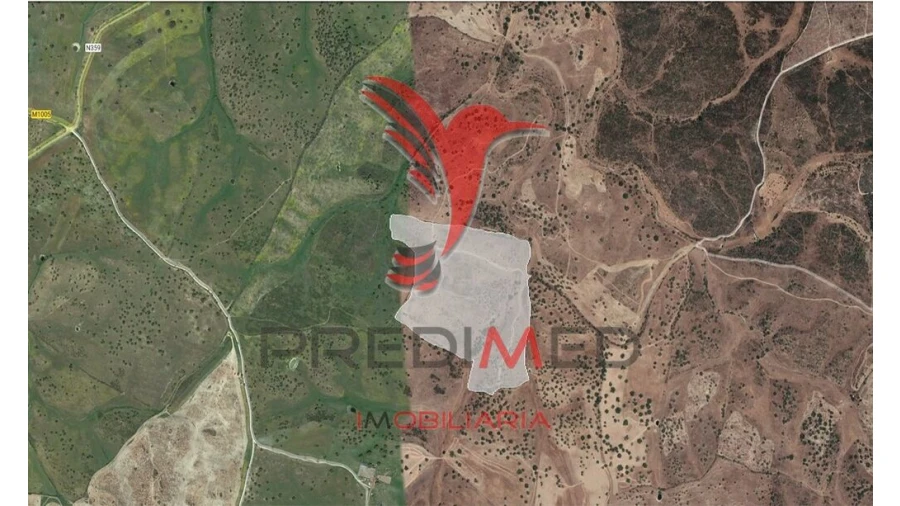 Terreno para Venda em Montalvão Foto 1