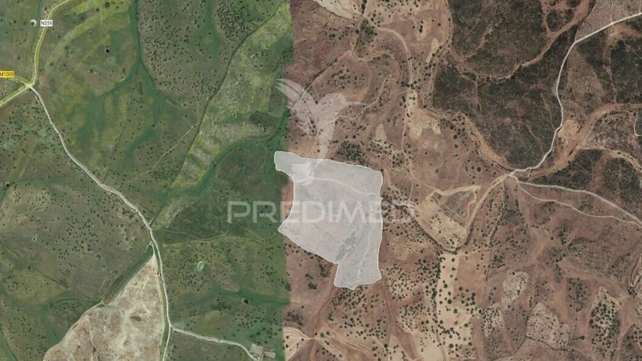 Terreno para Venda em Montalvão