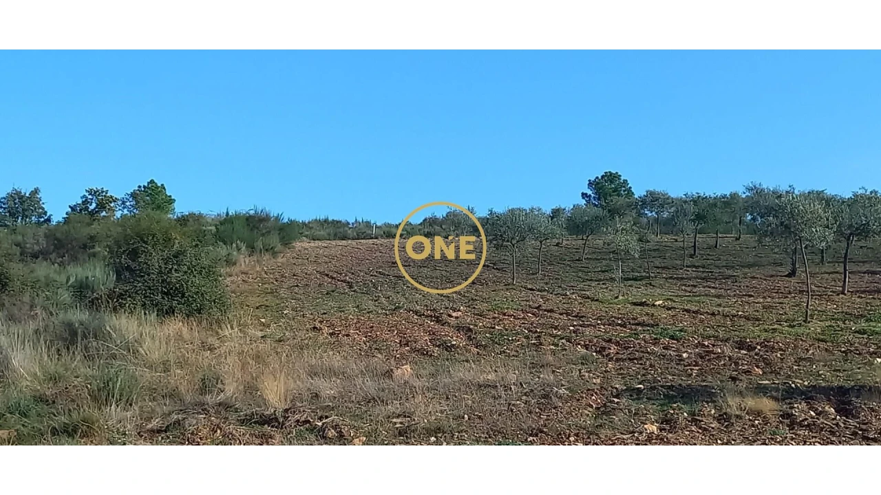 Terreno para Venda em Argozelo Foto 2