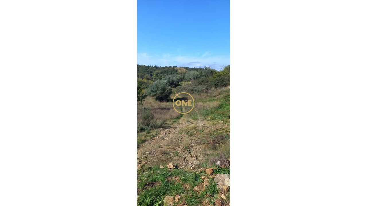 Terreno para Venda em Argozelo Foto 6