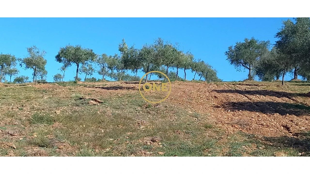 Terreno para Venda em Argozelo Foto 1